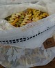 torebki różne Worki Zero Waste 5 szt 6