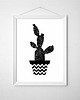 plakaty Kaktus II | plakat | ilustracja | A4 1