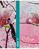 grafiki i ilustracje Grafika na płotnie MAGNOLIA drzewo- 150x60cm 3