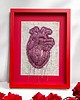 obrazy Obraz haftowany 3D serce anatomiczne. 4