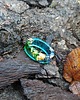 pierścionek z żywicy Pierścionek z żywicy KOLORY OCEANU 2