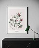 grafiki i ilustracje Koniczyna /Fine Art print 3
