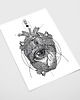 plakaty Plakat Anatomia serca 6