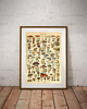 grafiki i ilustracje PLAKAT  ILUSTRACJA z grzybami vintage 3