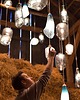 lampy wiszące Wisząca lampa szklana Bee turkusowa 12