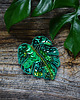 broszki Broszka Monstera 5