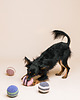 Zabawki dla zwierząt Piłka szydełkowa z bawełny organicznej RAINBOW orange & dusty blue 1