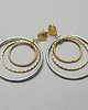 kolczyki pozłacane Kolczyki pozłacane Alloys Collection   Circle vol. 16  3