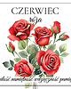 naszyjniki - inne Naszyjnik CZERWIEC hematyt, róża 2