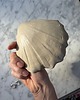 pojemniki na biżuterię Handmade Muszelka na Biżuterię Palo Santo Ceramiczna Naked Beige 2