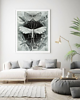 plakaty PLAKAT ćmy,  vintage grafika, motyle, owady 2