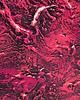 dodatki - łazienka - różne Wanna wolnostojącą ręcznie wykończna żywiczy relief - fuksja 4
