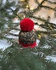 ozdoby choinkowe Ozdoba na choinkę, mini-czapeczka, zielono-czerwona 1
