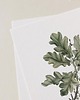plakaty Zestaw dwóch plakatów- Liście dębu 3