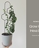 kwietniki Podpórka do roślin Hexa Line drabinka podpora 3