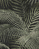 fototapeta Jungle -  Fototapeta 1