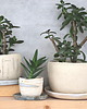 doniczki Mała doniczka ceramiczna 4