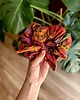 gumki do włosów Scrunchie/frotka Vintage ciemna 2