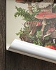 plakaty Plakat Grzyby - Muchomory 2