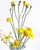 doniczki ceramiczna ikebana  na kwiaty 2