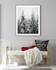 fotografia PLAKAT  zimowy las pod śniegiem 3