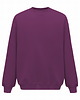 bluza bez kaptura damska Bluza Biggie Purpura 1