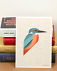 grafiki i ilustracje Pocztówka, zimorodek, kingfisher, ptak 1