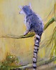 obrazy Obraz olejny ręcznie malowany autorski 76x76 "Zaginiony Ląd" 3