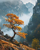 plakaty Plakat - Nature 1