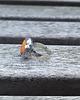 pierścionki - różne Koral - pierścionek regulowany 1