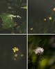 fotografia Fotografia autorska z cyklu "Zwyczajność" 2