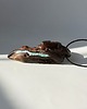 wisiory Amulet - wisior z drewna z turkusem 5