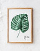 plakaty Plakat Monstera 1