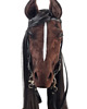 zabawki - inne Realistyczny Hobby Horse ciemny kasztan/czarna/łatka 4