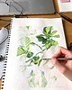 grafiki i ilustracje Fikus Lirolistny - ilustracja botaniczna 3