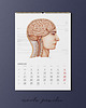 kalendarze i plannery Kalendarz Anatomiczny 2026 7