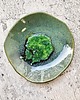 patery i talerze Talerz *Emerald* ok.20cm 1
