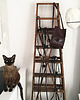 torby na ramię Torebka Boxy Bag S Plum 4