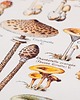 grafiki i ilustracje Grafika Champignons (reprint) 2
