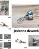 kolczyki srebrne Kolczyki srebrne Jesienne dzwonki vol. 4  5
