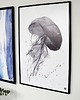 plakaty Plakat Meduza roz. 61x91 cm 2