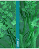 obrazy Obraz na płótnie do salonu  DRZEWO 120x80cm 3