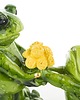 figurki i rzeźby Dekoracja - para zielonych żabek 11x11x4,5 cm RANE z kwiatami PROPOSTA 1
