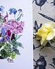 grafiki i ilustracje Plakat Kot w Pelargoniach 4