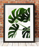 plakaty ZESTAW PLAKATÓW BOTANICZNYCH plakaty monstera 5
