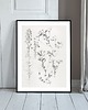 grafiki i ilustracje DWA PLAKATY galeria botaniczne monstera 4