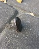 pierścionki - różne Szarak - pierścionek regulowany 1