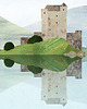 plakaty Zamek w Szkocji - plakat 50x70 cm 3