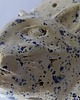 Ozdoby na ścianę Ceramiczna maska - KOT 2