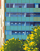 plakaty Plakat Biprostal - Krakowski modernizm 2